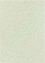 giấy dán tường TH34004 Trơn sần trắng ngà