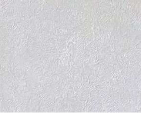 giấy dán tường TH34082 Trơn sần xám nhạt