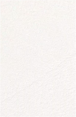 giấy dán tường TH34374 Trơn sần trắng