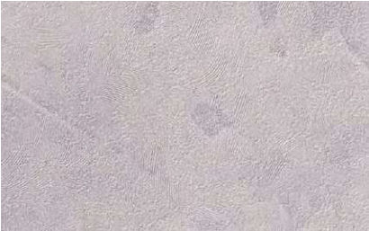 giấy dán tường TH34668 Vân đá xám nhạt