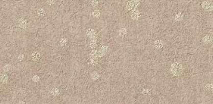 giấy dán tường TH34934 Hoa văn cổ điển be xám