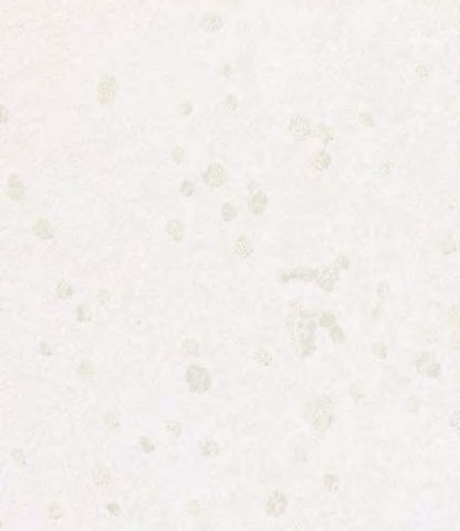 giấy dán tường TH34936 Hoa văn cổ điển trắng