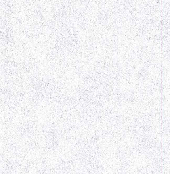 vải dán tường WXE5354 Vân bê tông Stucco trắng