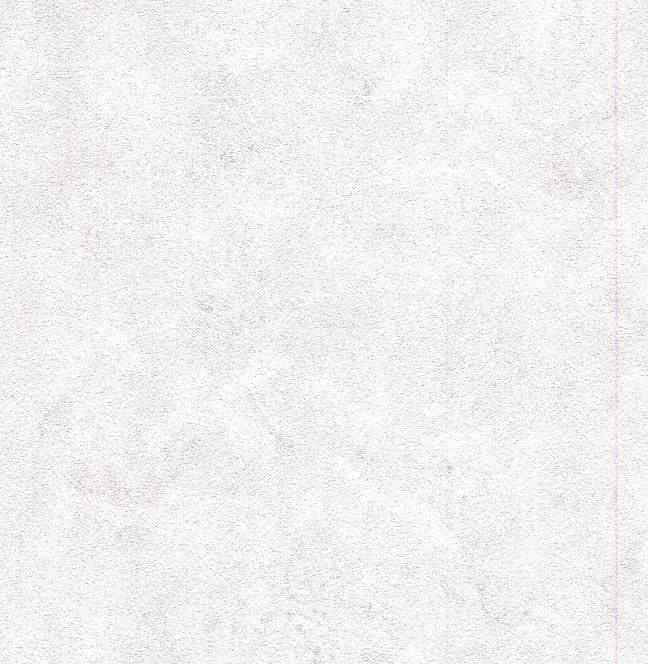vải dán tường WXE5355 Vân bê tông Stucco trắng