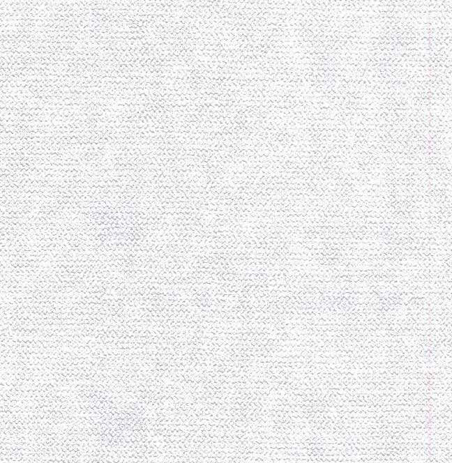 vải dán tường WXE5371 Vân bê tông Splendor trắng