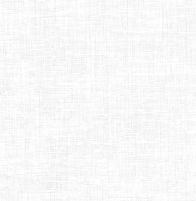 vải dán tường WXE5387 Vân vải Canvas trắng